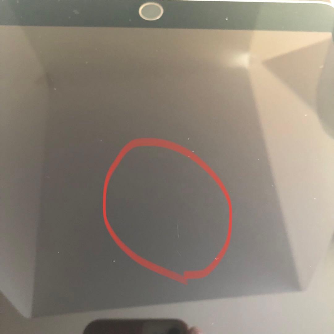 【早い者勝ち】iPad Pro 10.5 64GB SIMフリー 【すぐ発送】