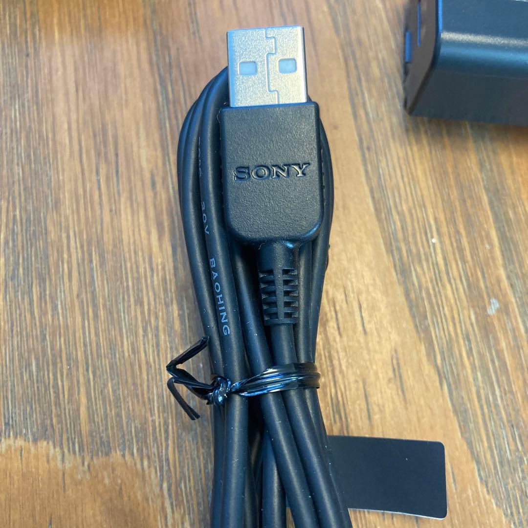 専用　SONY HDR-CX680 ビデオカメラ