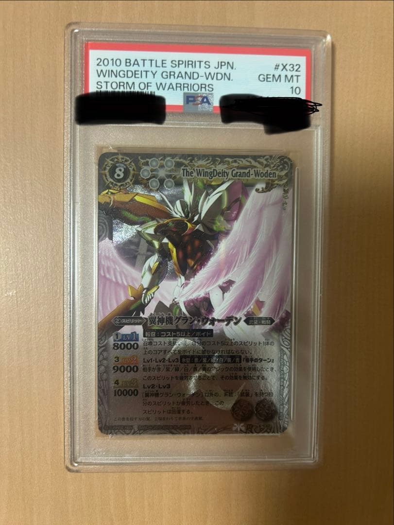 翼神機グラン・ウォーデン PSA10