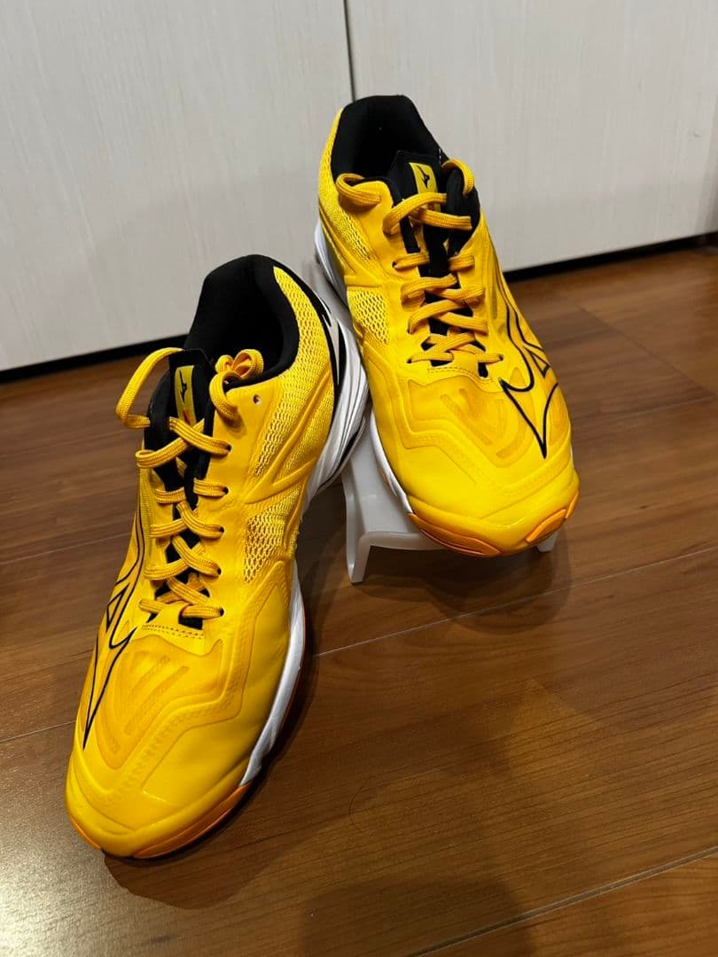 雪さん専用☆美品☆Mizuno バレーボールシューズ 27センチ☆