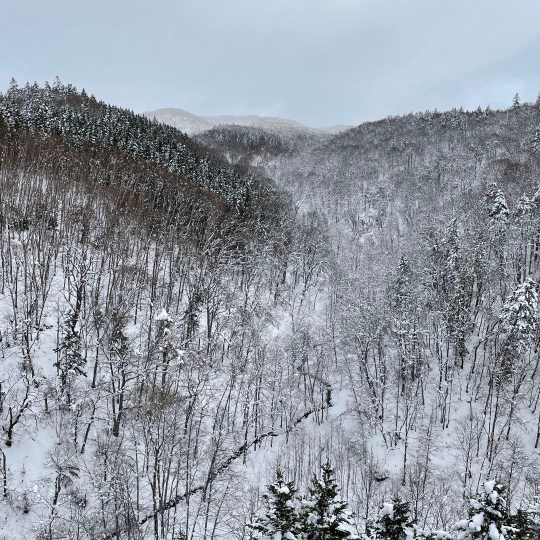 手羽先ジャーキー犬用600g鹿ジャーキー犬用400g鶏ささみジャーキー400g