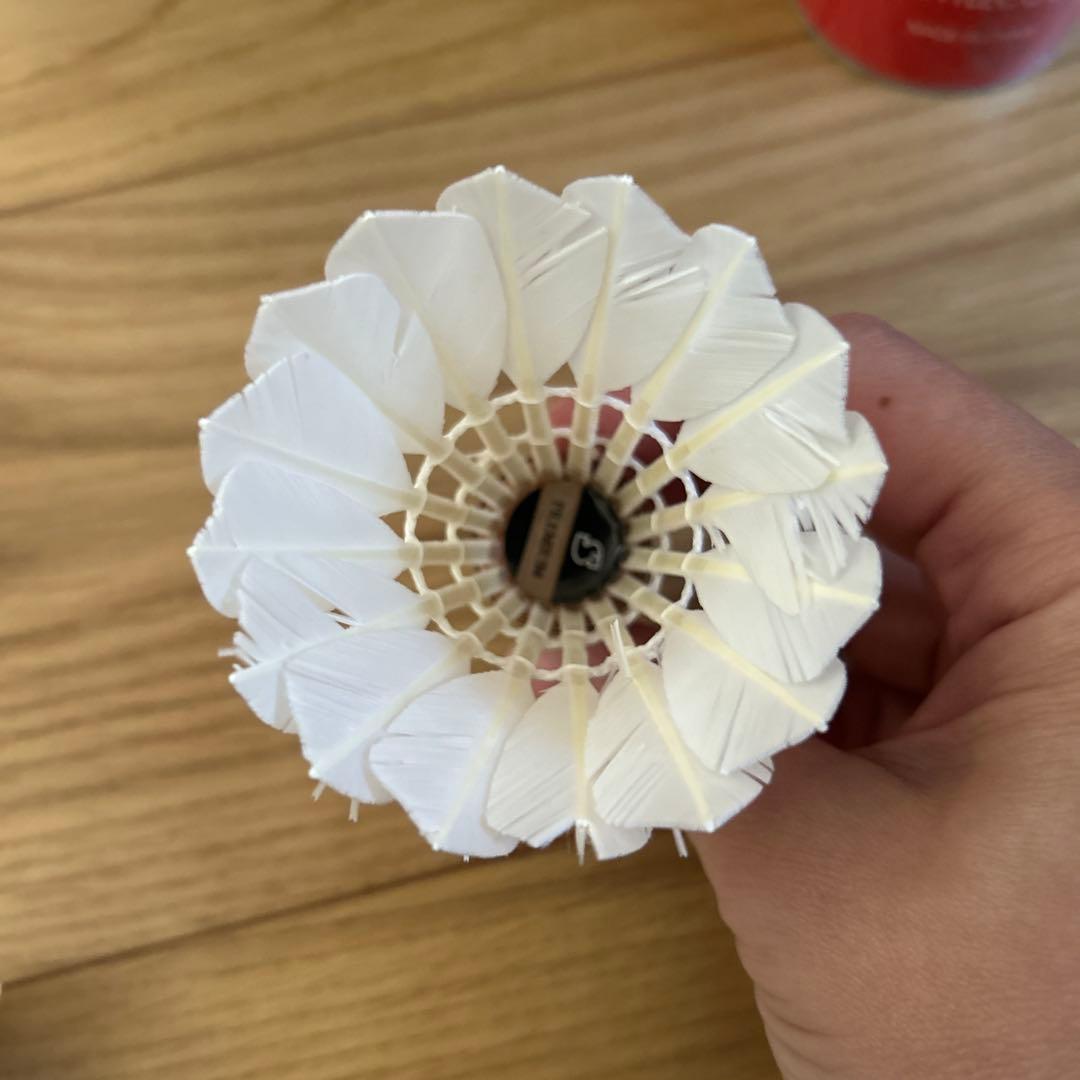 中古シャトル　10本