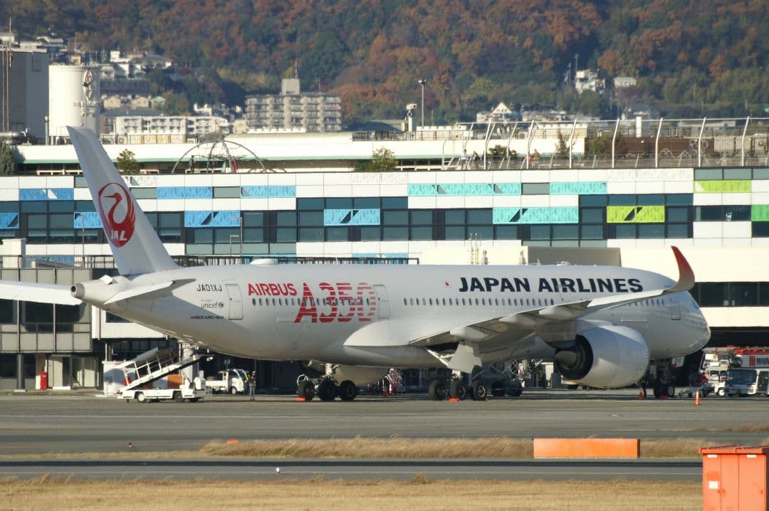 実用品SIGMA APO 170-500mm f5-6.3 作例あり Aマウント