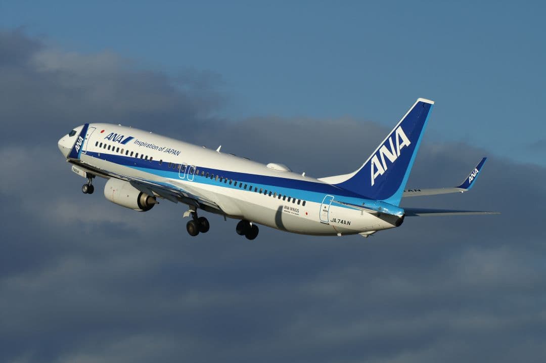 実用品SIGMA APO 170-500mm f5-6.3 作例あり Aマウント