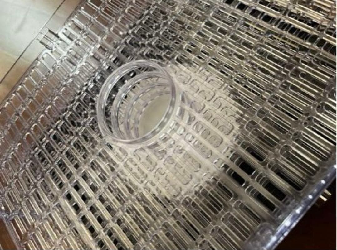 【美品】BelleLife フードドライヤー 野菜乾燥機