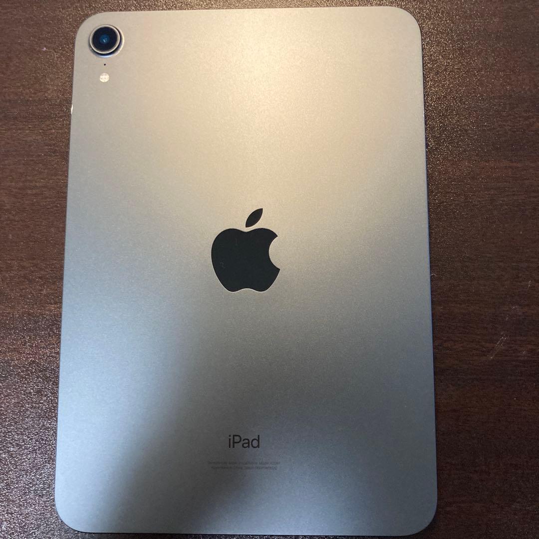 iPad 第6世代(mini) 美品　256GB iPad本体