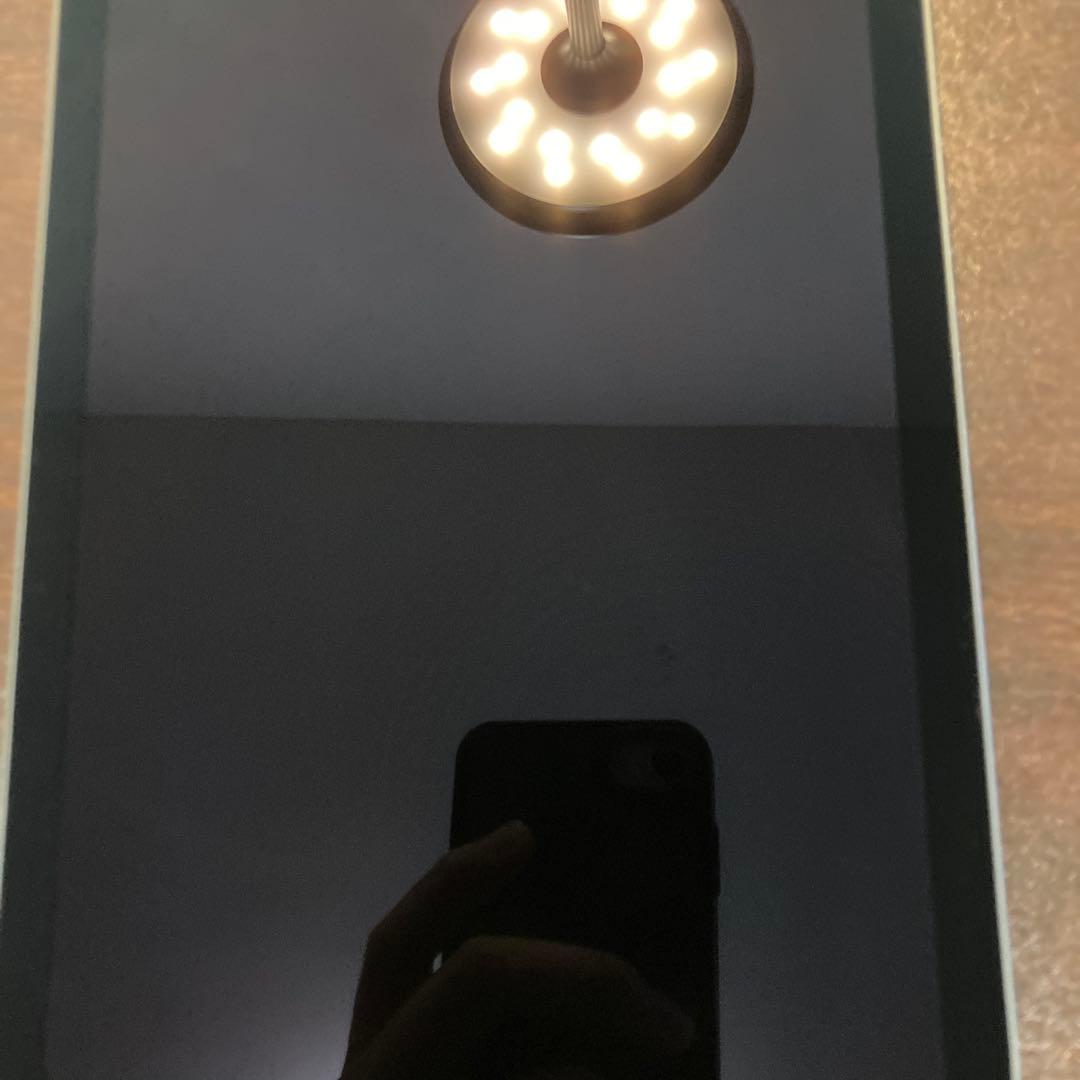 iPad 第6世代(mini) 美品　256GB iPad本体
