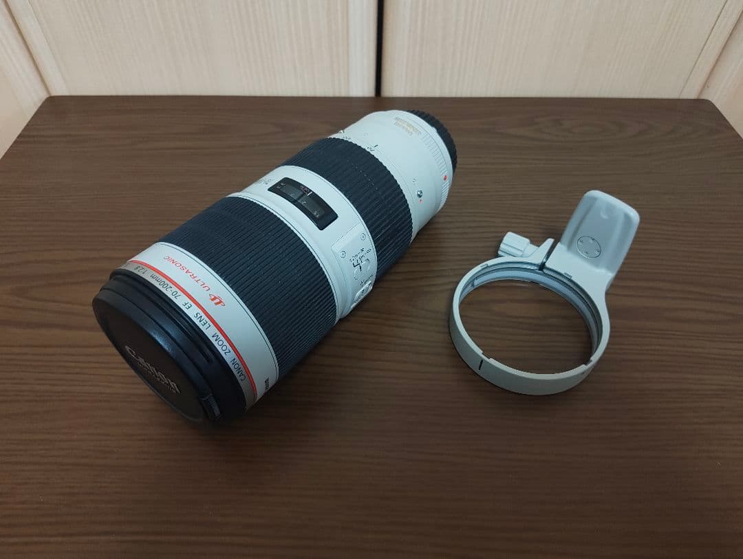 Canon EF 70-200mm f/2.8L IS II USM 望遠ズーム