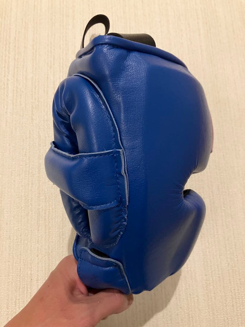 Winning ヘッドギア フルフェイスタイプ ブルー M FG-2900