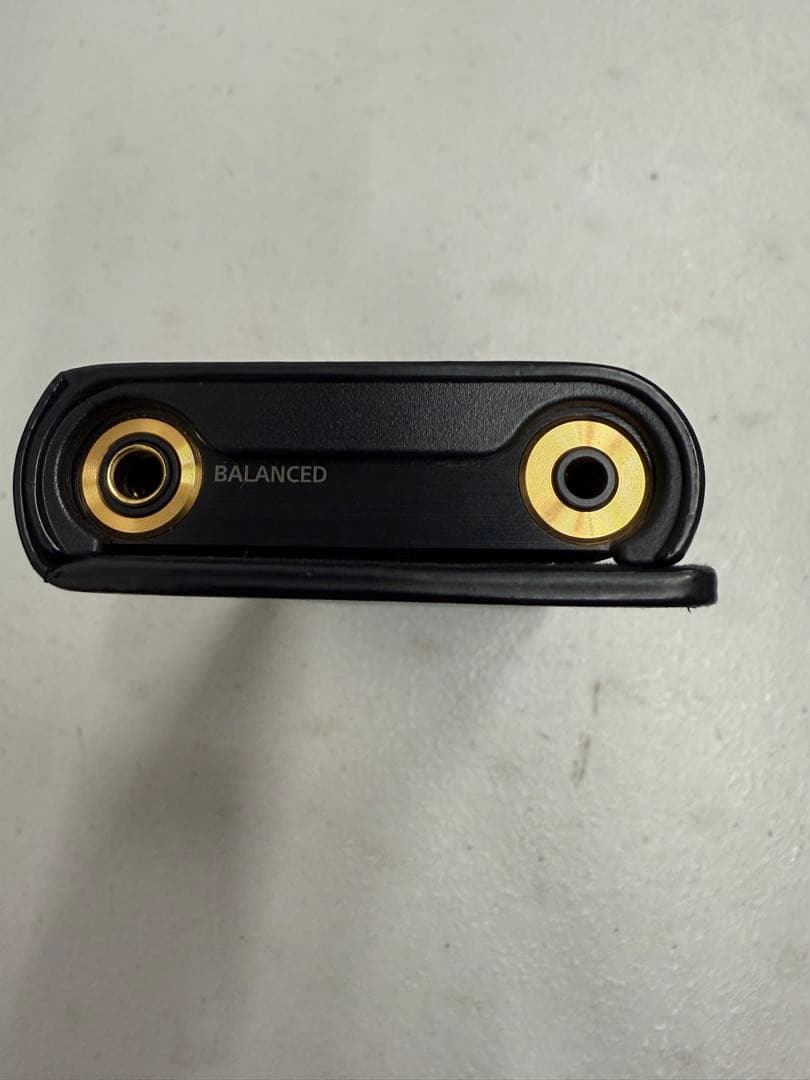 SONY NW-ZX300serieオーディオプレーヤー + 純正革ケース