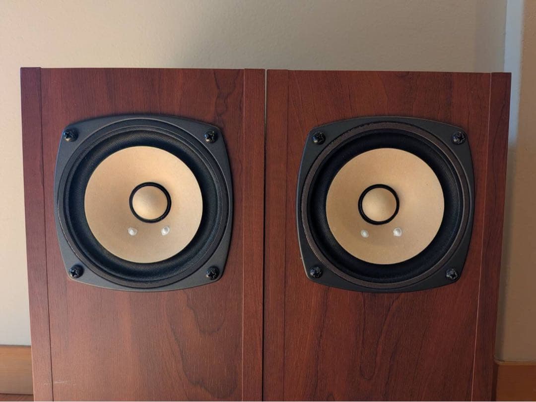 ［週末限定値下げ］Fostex P1000-BH＋FE103En スピーカー