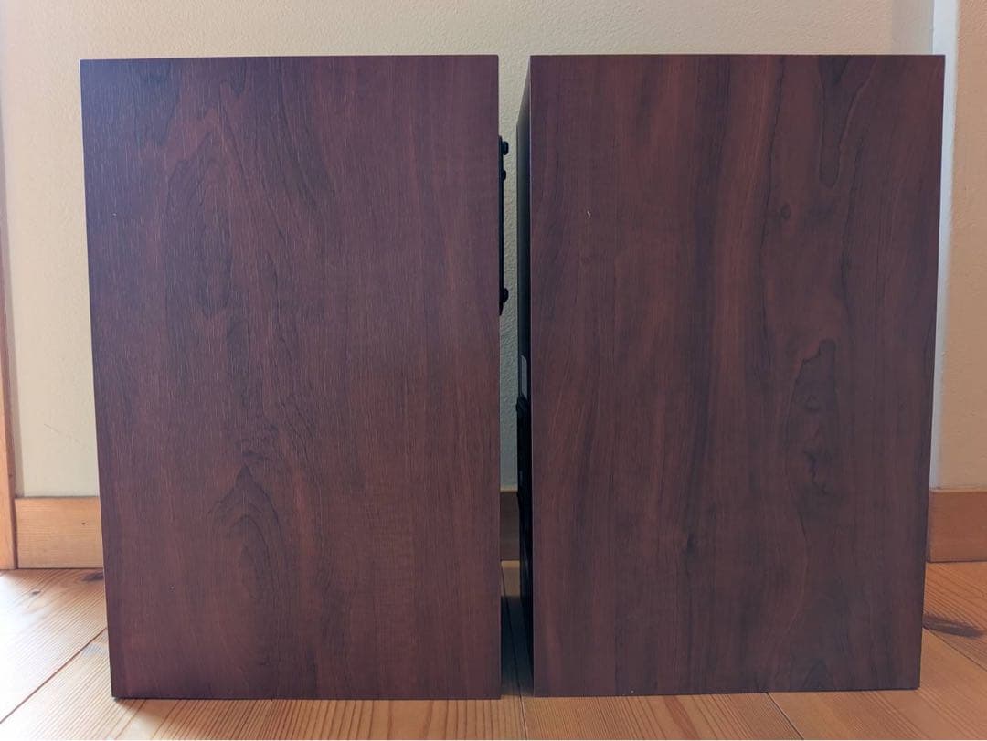 ［週末限定値下げ］Fostex P1000-BH＋FE103En スピーカー