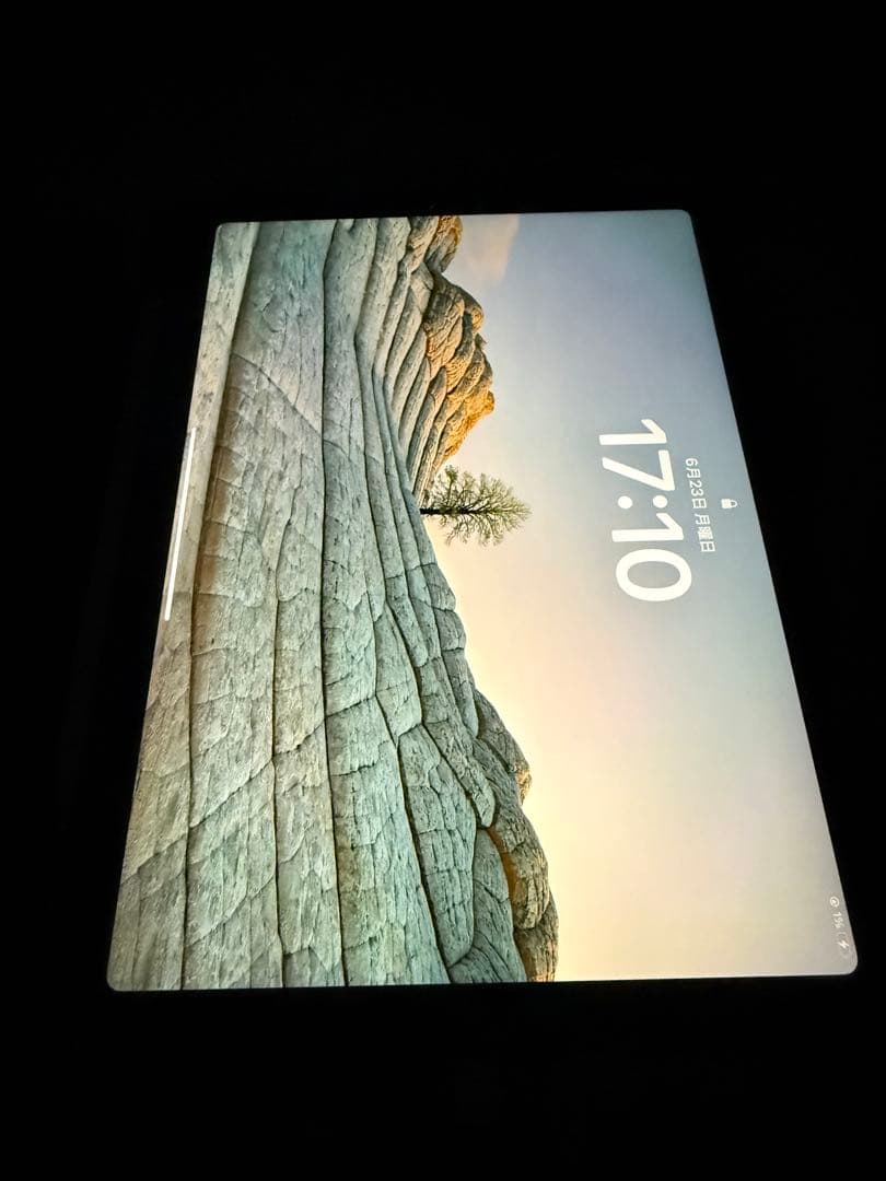 iPad Pro 第2世代 11インチ 256GB Apple Pencil