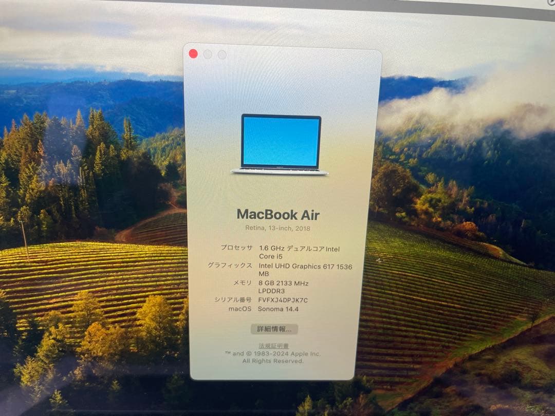 Apple MacBook air 2018 13インチ i5 #eco150