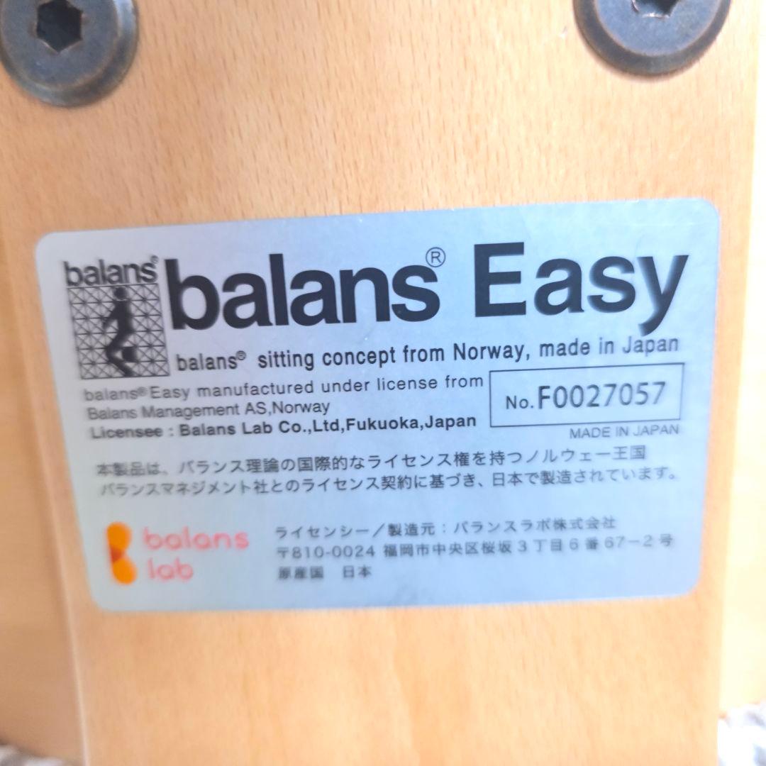 446】Rybo リボ社 Balans Easy バランスイージー カバー付