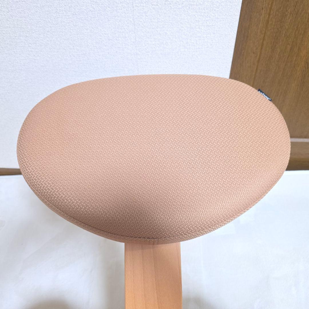 446】Rybo リボ社 Balans Easy バランスイージー カバー付