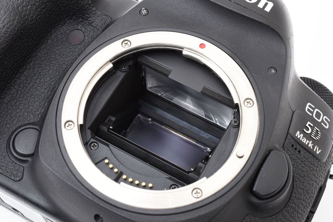 フルサイズ/Canon EOS 5D Mark IV標準&望遠ダブルレンズセット