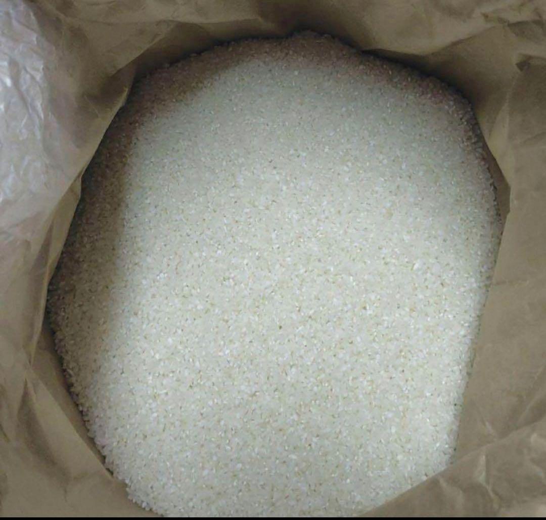 期間限定販売　キヌヒカリ　20kg 精米済み