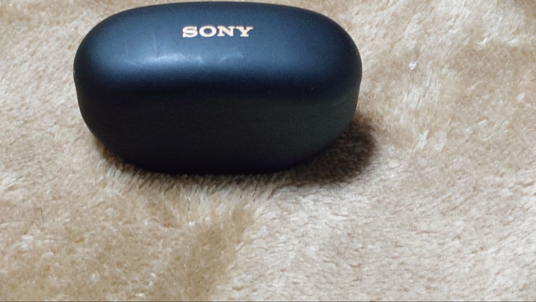 wf1000xm5 ケース&左