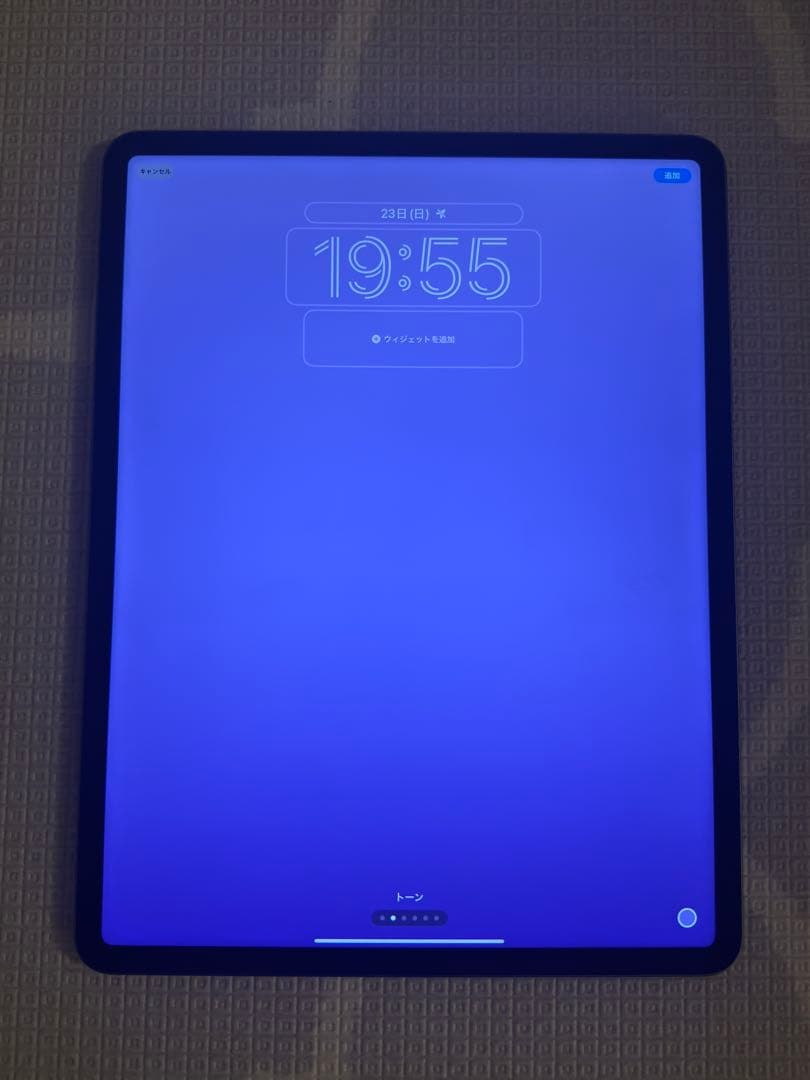 Apple iPad Pro 12.9インチ（第5世代）256GB Wi-Fi