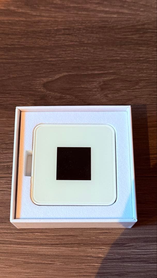 【未使用100G】ecocoポケットwifi 特典付き