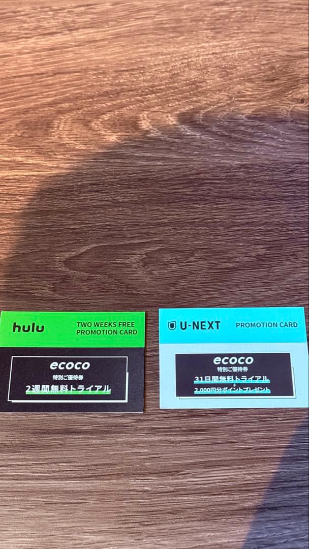 【未使用100G】ecocoポケットwifi 特典付き