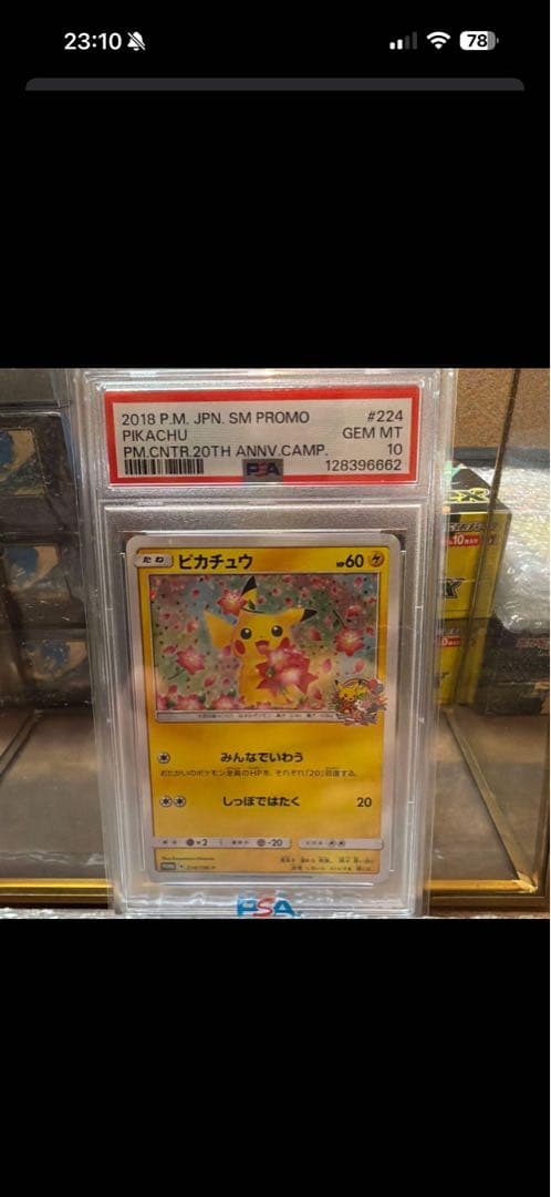 add ピカチュウ ウッウセット