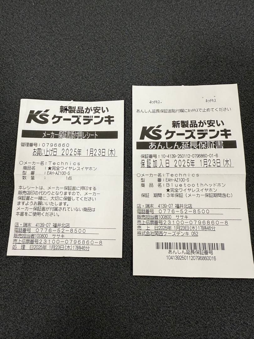 Technics EAH-AZ100-S（シルバー） ワイヤレスイヤホン