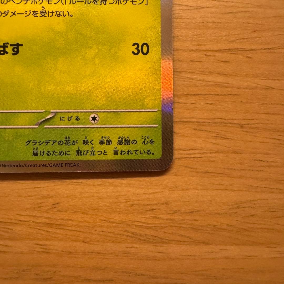 ロケット団のミュウツーex シェイミ　セット　CL2026 プロモ