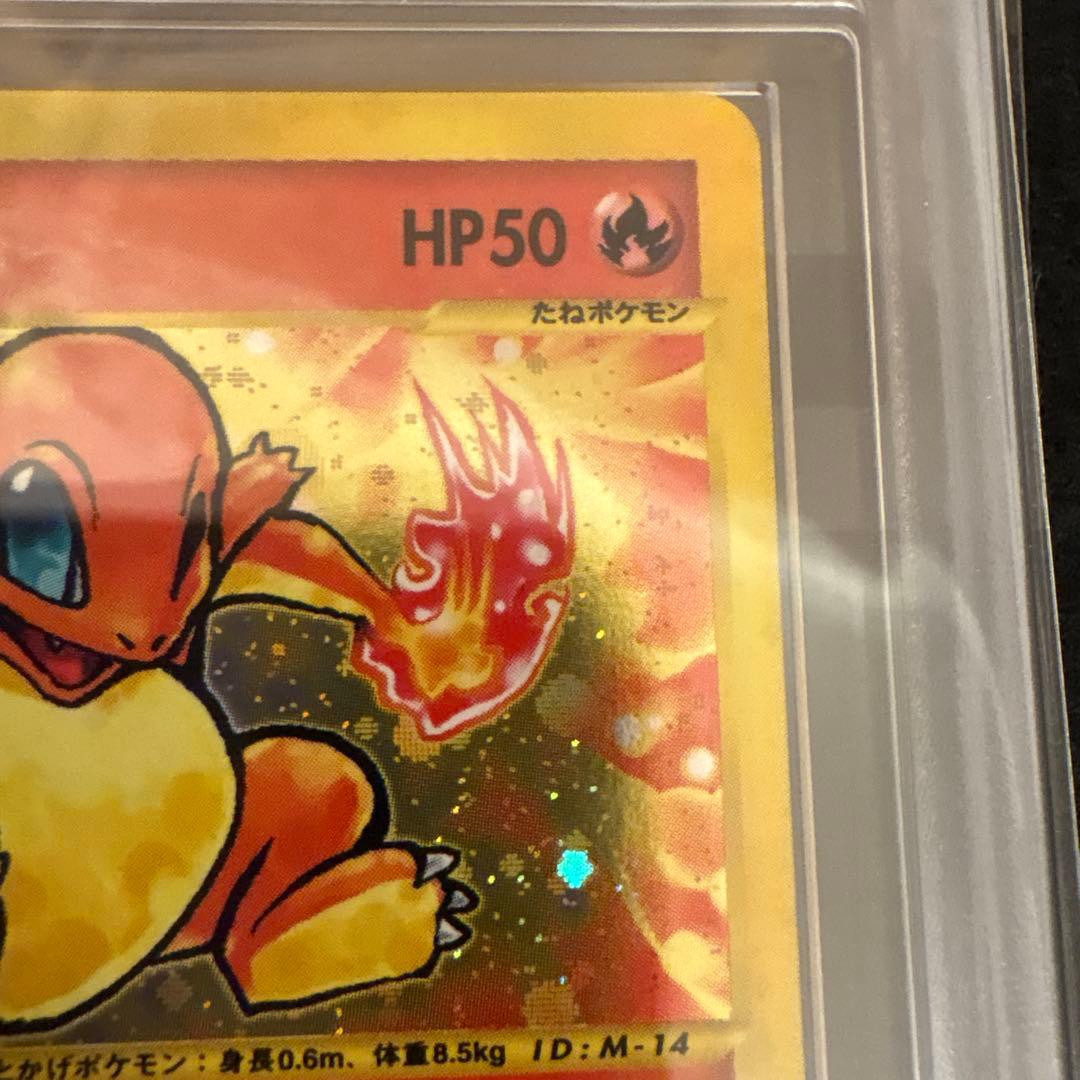 L*様 【ARS10】 ヒトカゲ　ミニマムパック