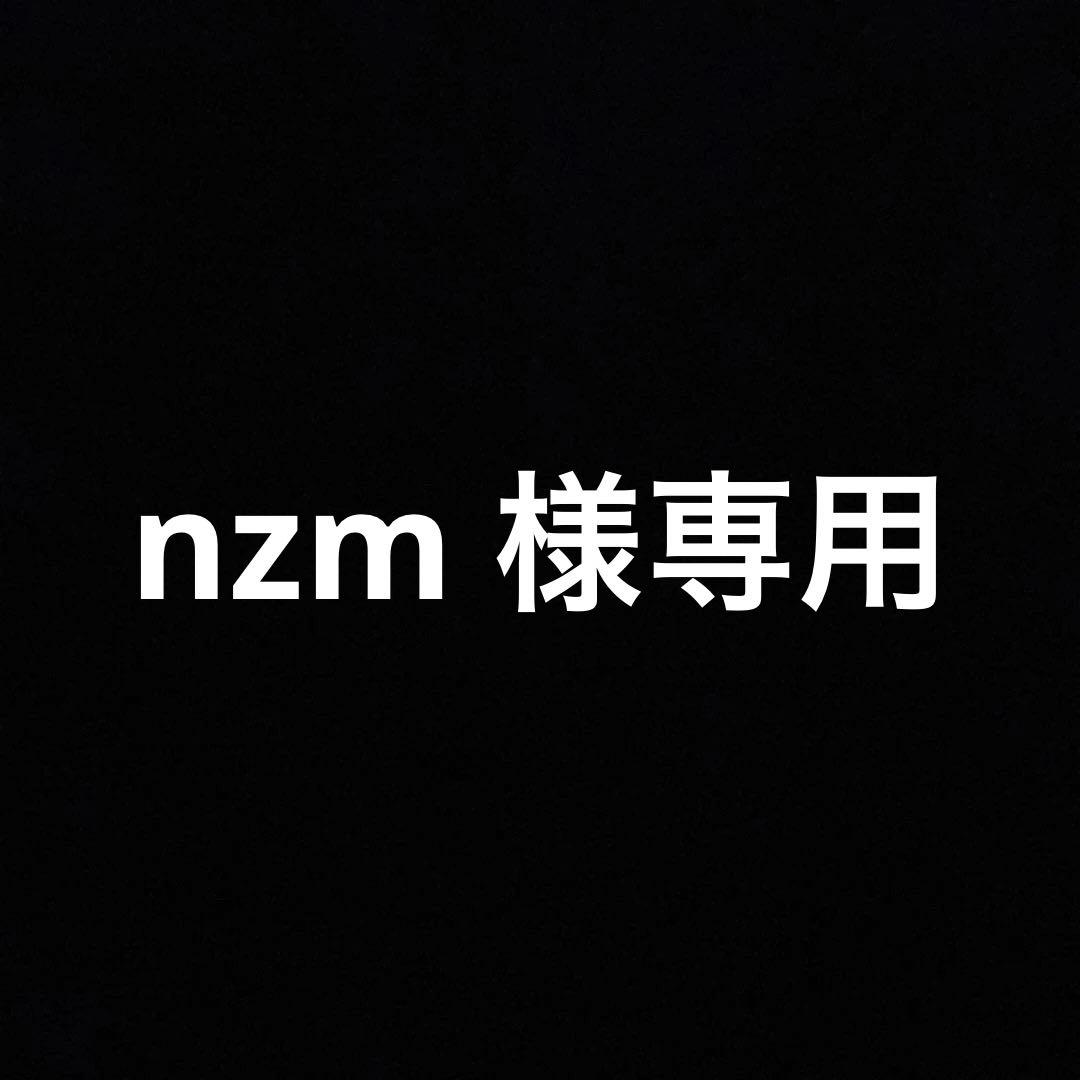 nzm　チャイルドシート