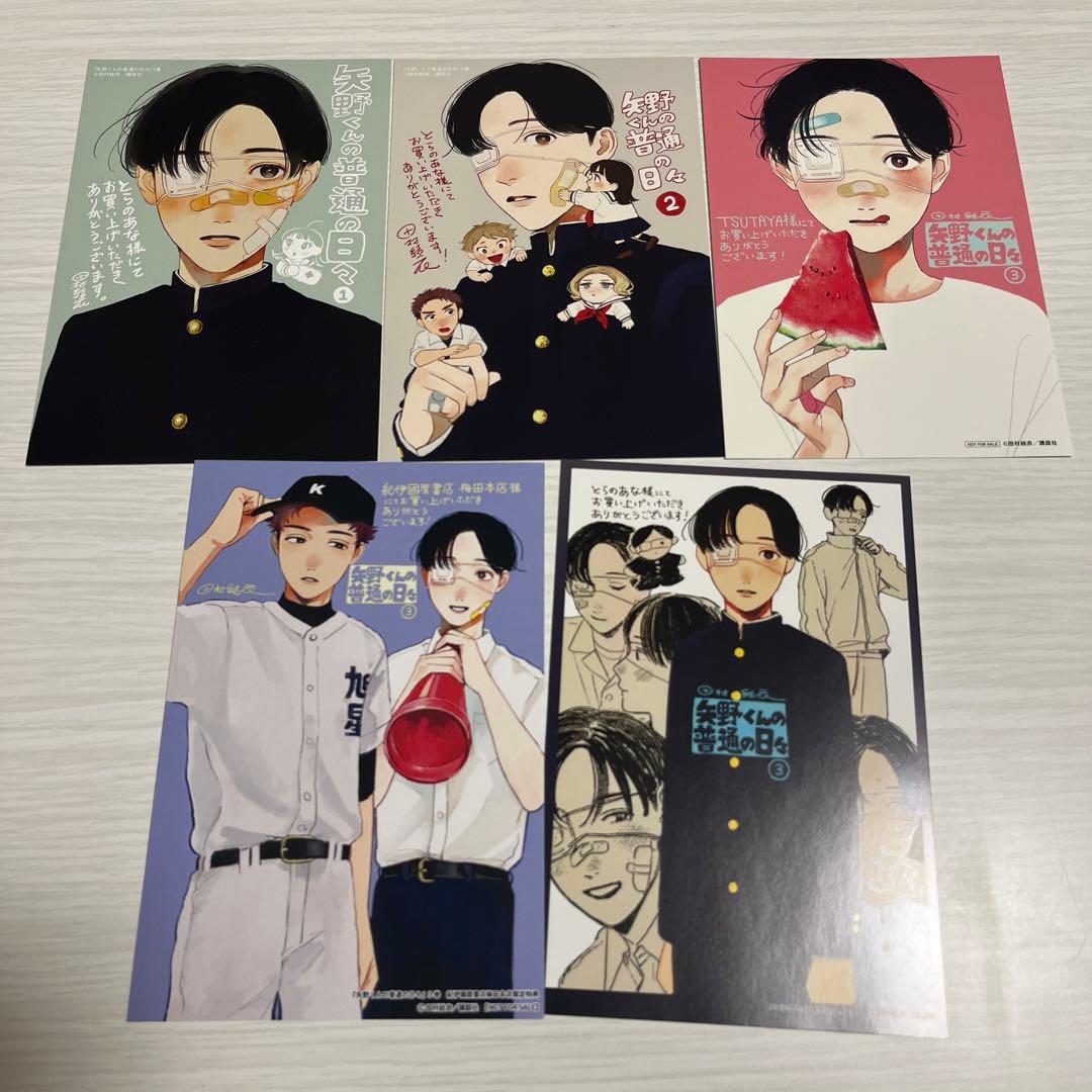 矢野くんの普通の日々　田村結衣