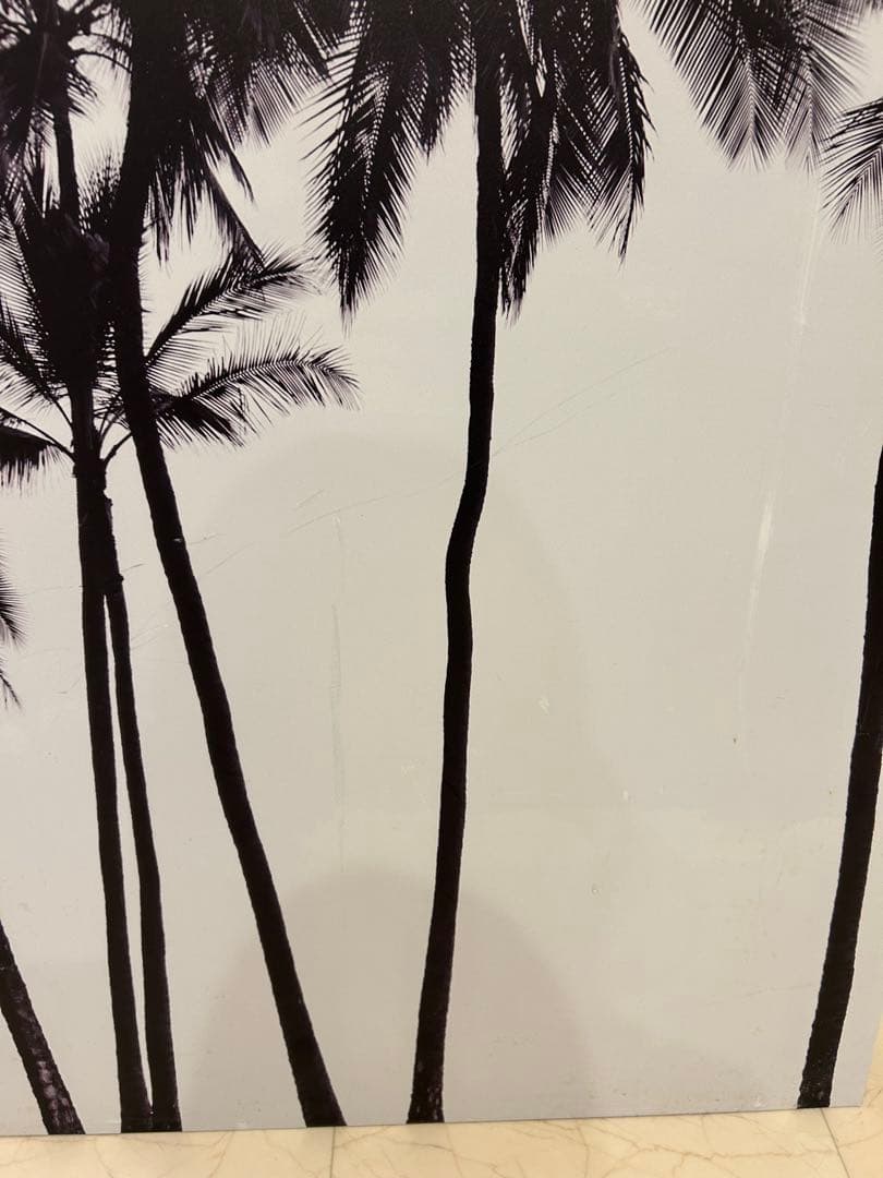 BoConcept ヤシの木　インテリアパネル ハワイアン　絵　壁掛け