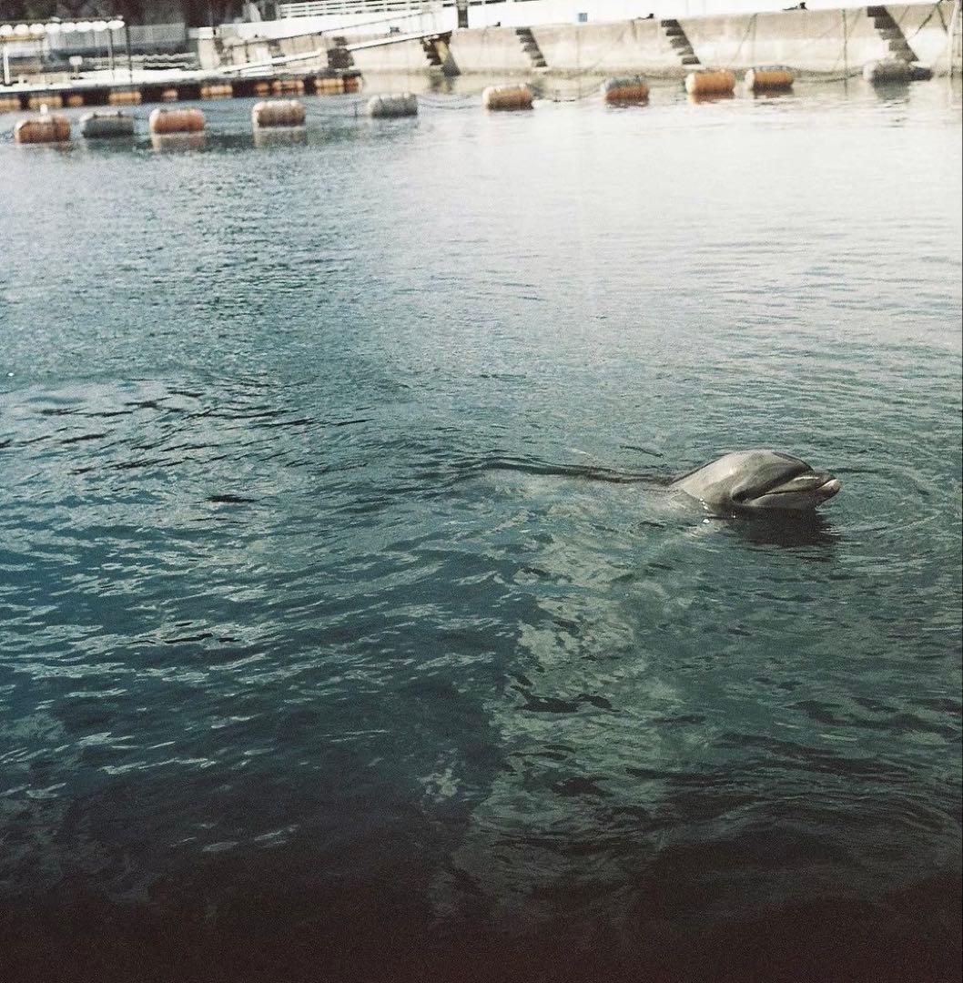 フィルムカメラ Zenza Bronica S 75mmF2.8