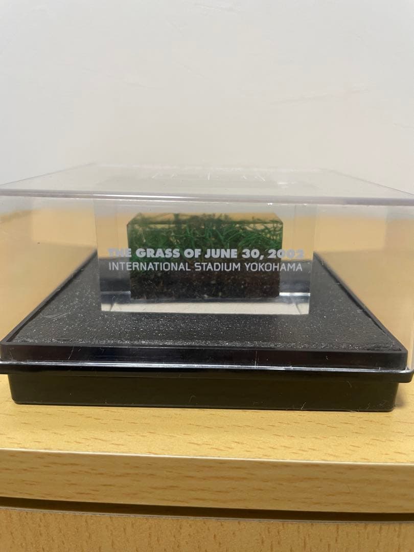 2002年　日韓ワールドカップ　決勝戦記念　ピッチ芝　サッカー