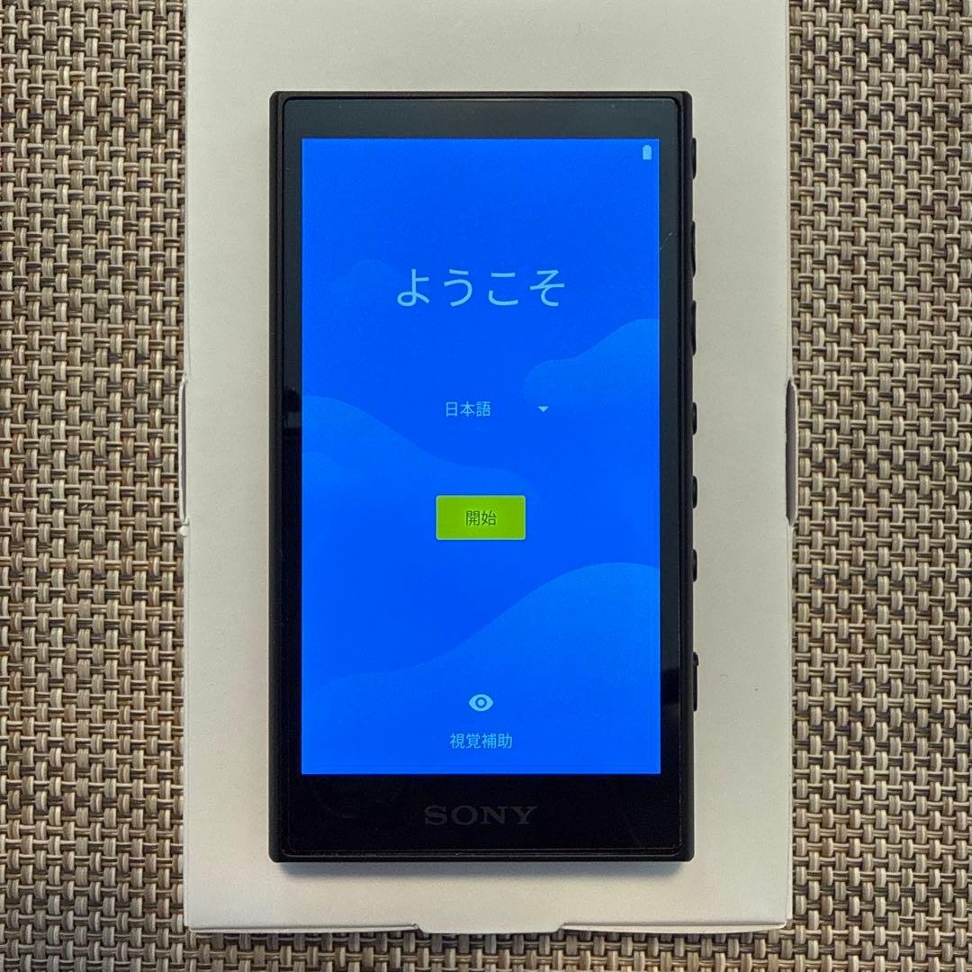 SONY ソニー WALKMAN ウォークマン NA-A105HN