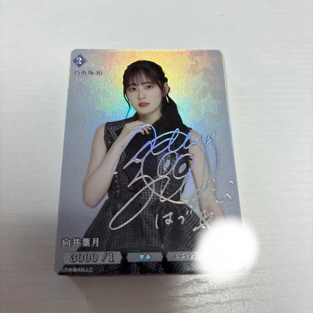 ‼️最終値下げ‼️ビルディバイド　向井葉月SC