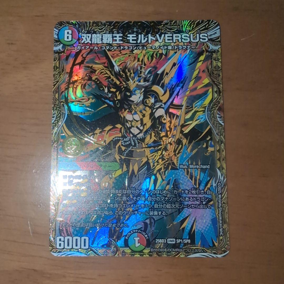 双龍覇王　モルトVERSUS　書版