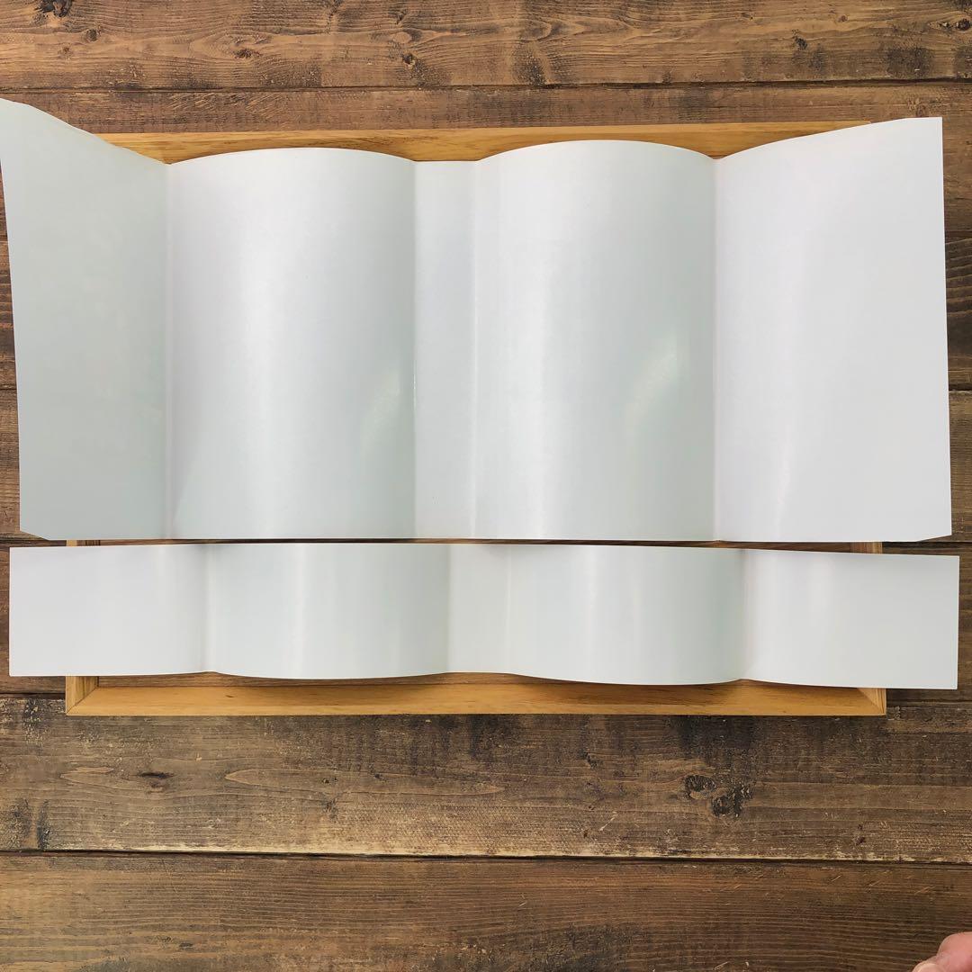 【限定1冊のみ】アジサイ百科 川島 榮生著 希少 レア 美品 匿名配送