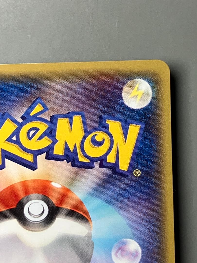 フ*ル様 メガトウキョーのピカチュウ