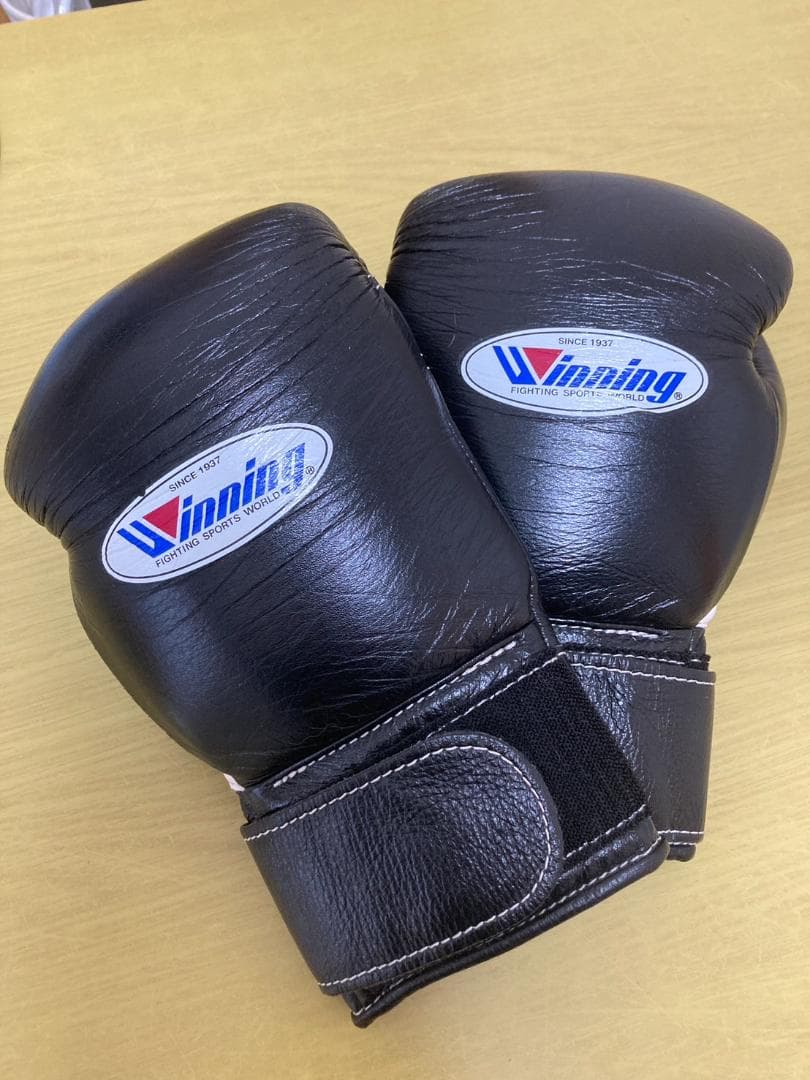 Winning ボクシング グローブ 10オンス