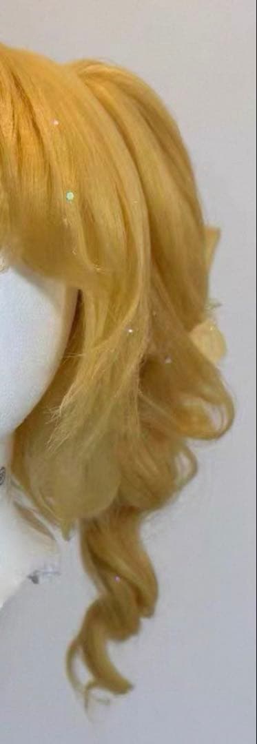 【はちわれページ】オーダーウィッグ