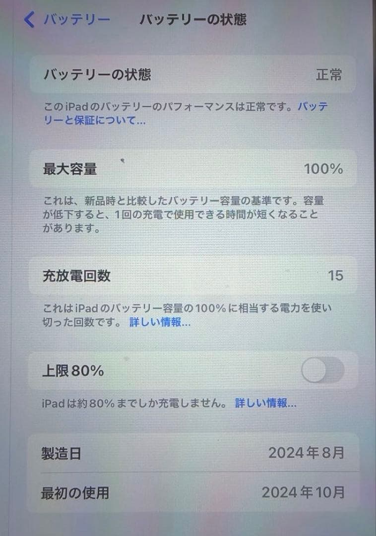 iPad mini (A17 Pro)ブルー・セルラー128GBケース付き