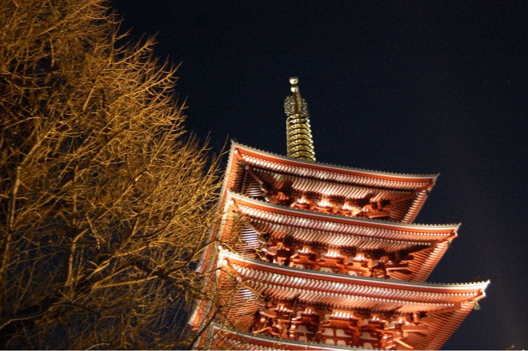 s*s様 Nikon D40 レンズキット