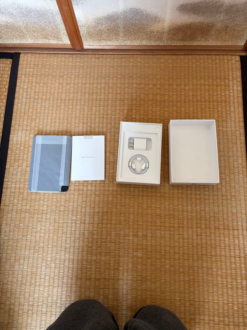 最新 iPad mini Wi-Fi + Cellular 第7世代128GB