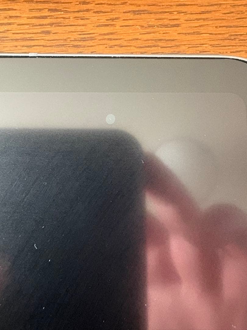 最新 iPad mini Wi-Fi + Cellular 第7世代128GB