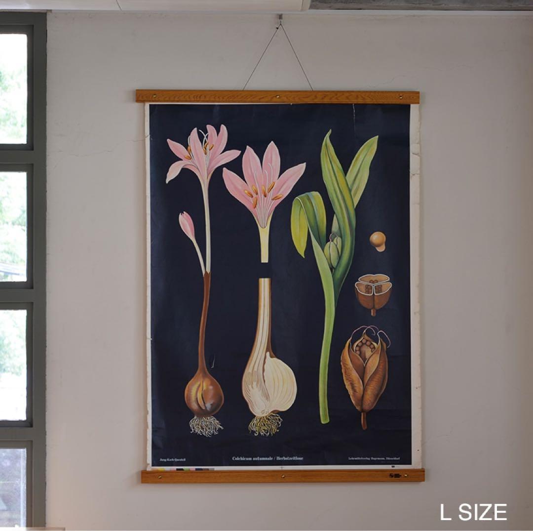 【未使用】パシフィックファニチャーサービス ピクチャーハンガー ポスターフレーム