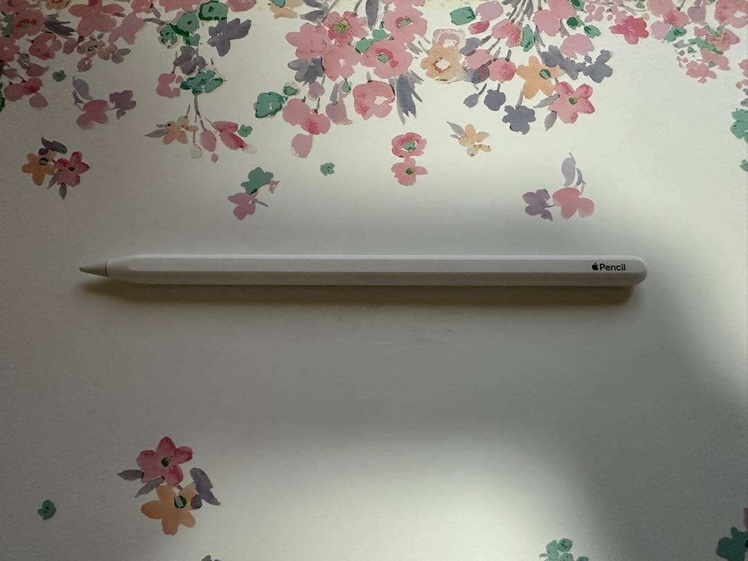 iPad Pro (12.9インチ) 第5世代　512GB