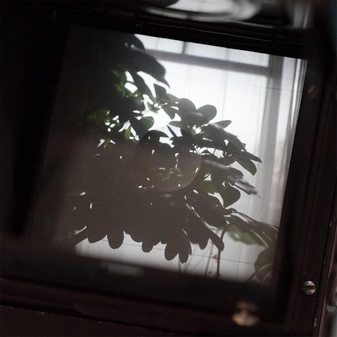 Minolta AUTOCORD ミノルタオートコード初期型 【完動品 作例有】