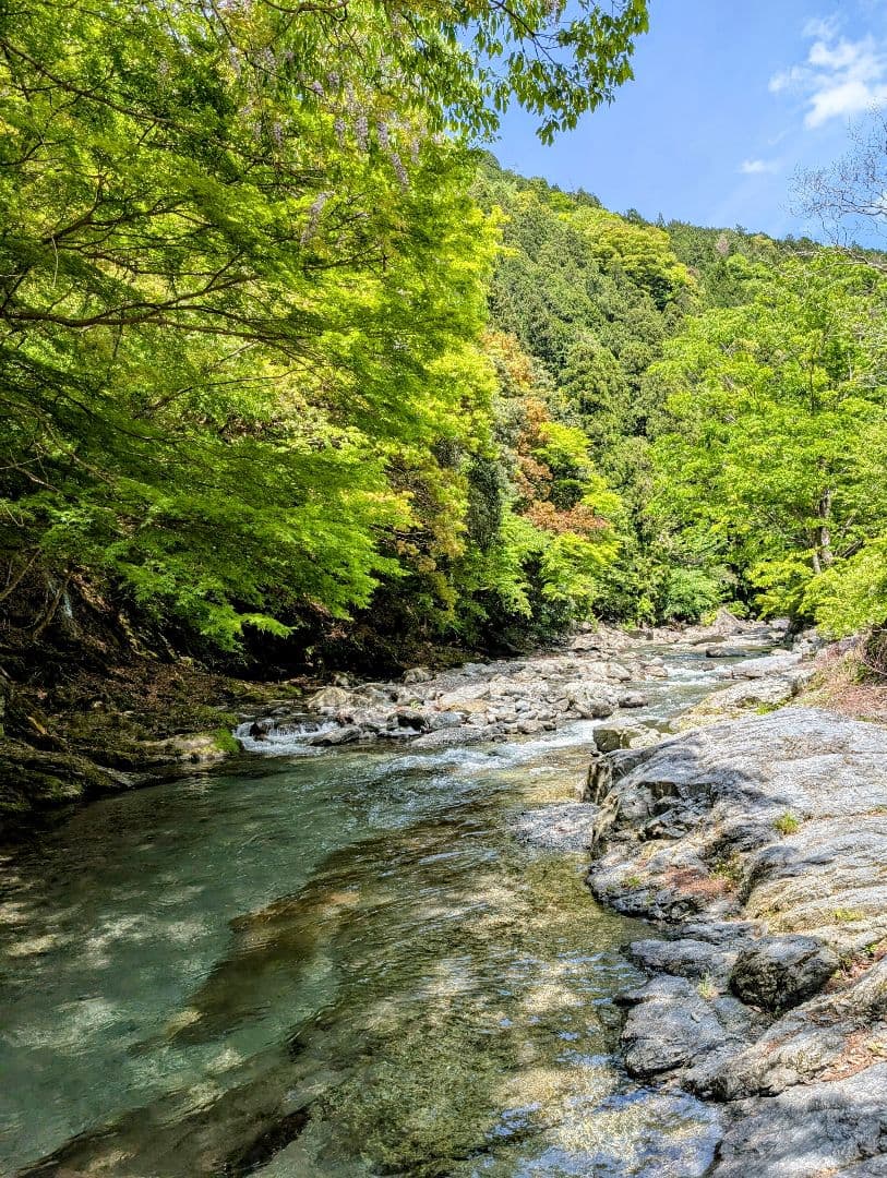 ひまうい様　5.20 ウサギ　レジンヘアゴム　ぬいぐるみ　ビタミンたっぷり色
